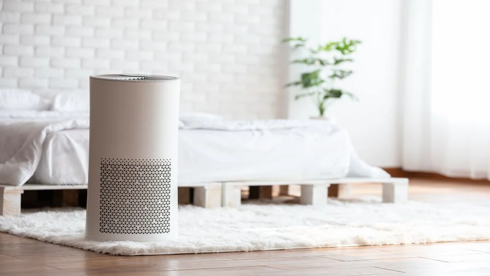 air purifier at home