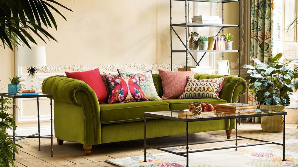 houseplants in living room