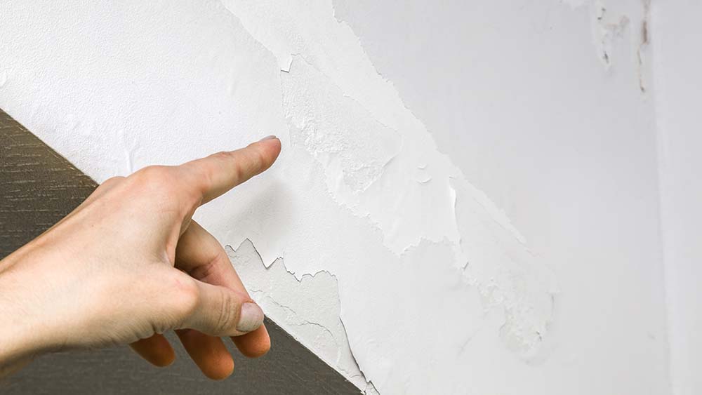 Drawbacks of high humidity levels