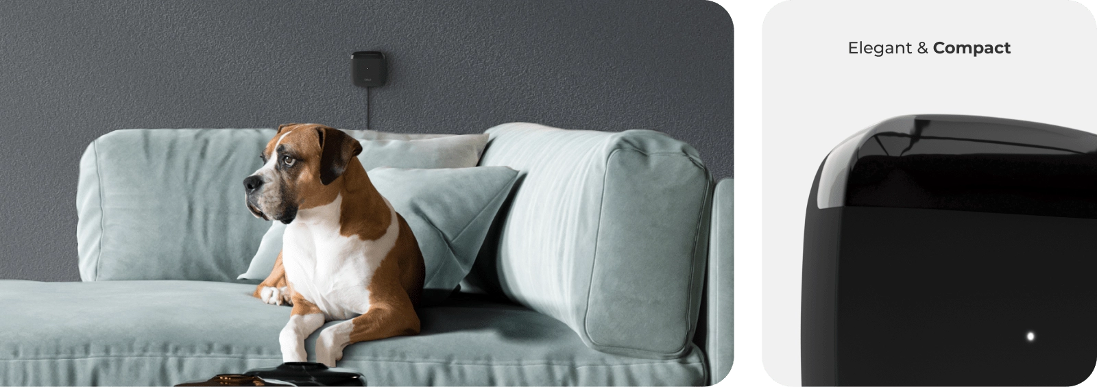 Dog on a couch. Cielo breez lite in the background maintaining ideal pet temperature