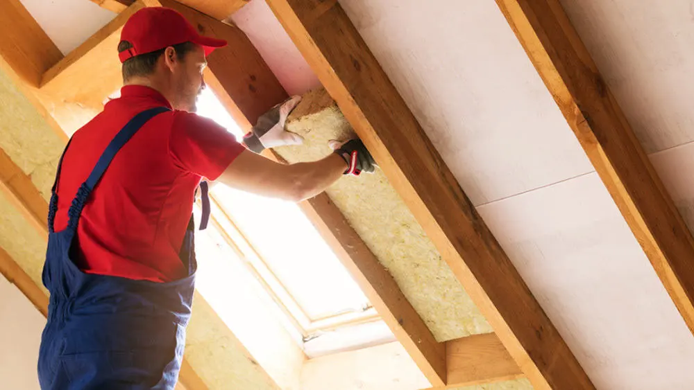 Keep your attic insulation in check.