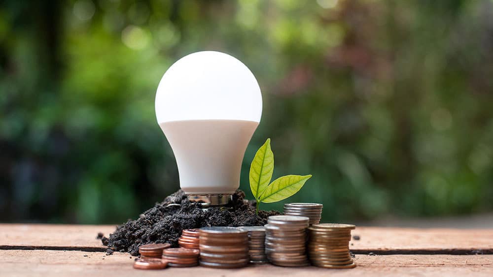Light bulb with coins depicting energy saving