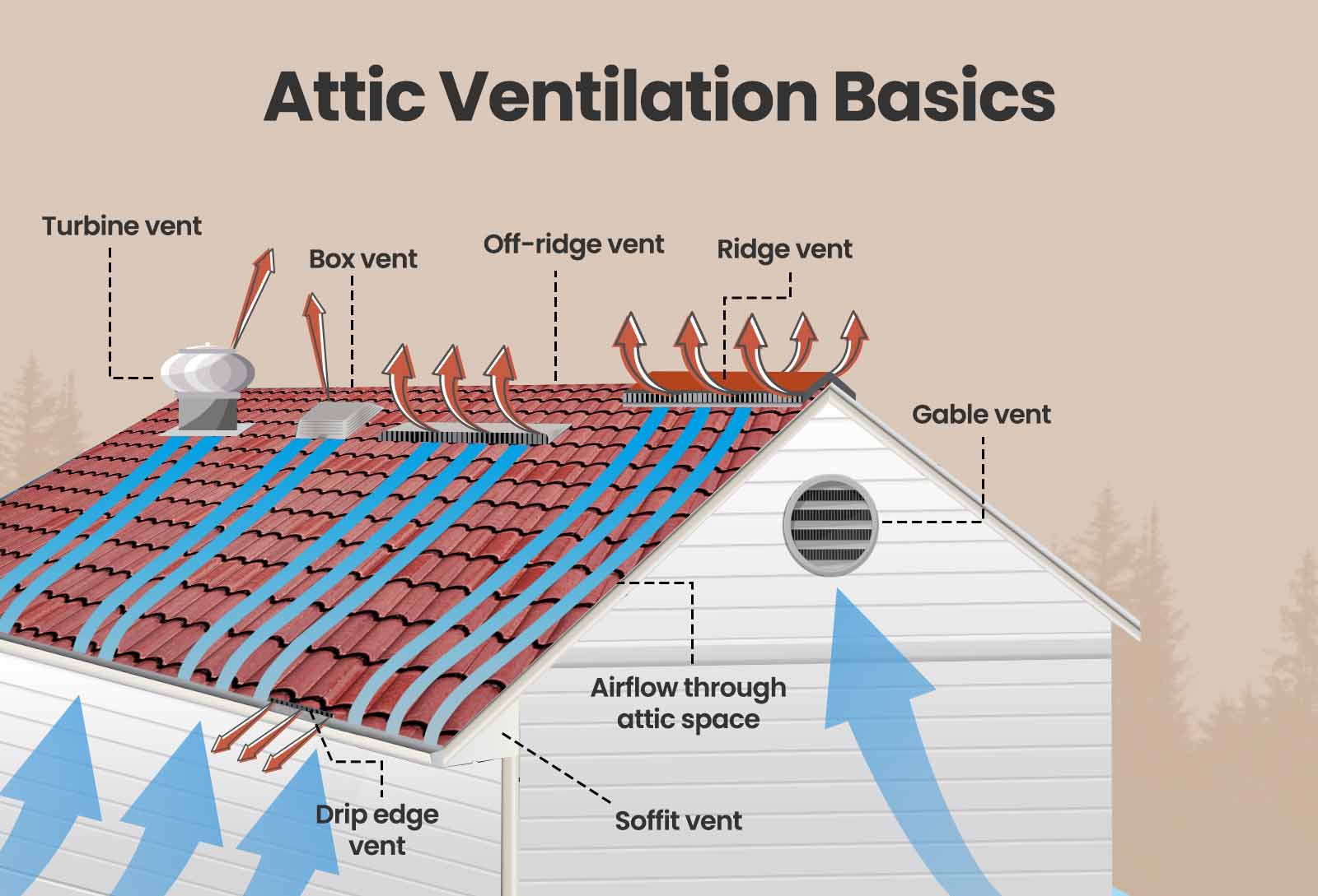 attic ventilation infographic