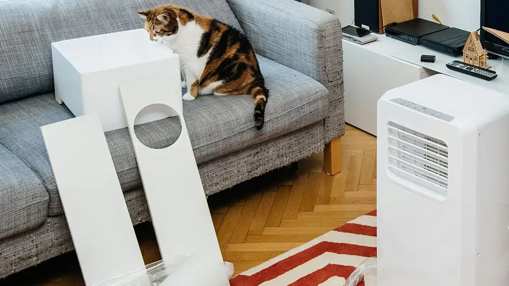 Portable AC in the living room.