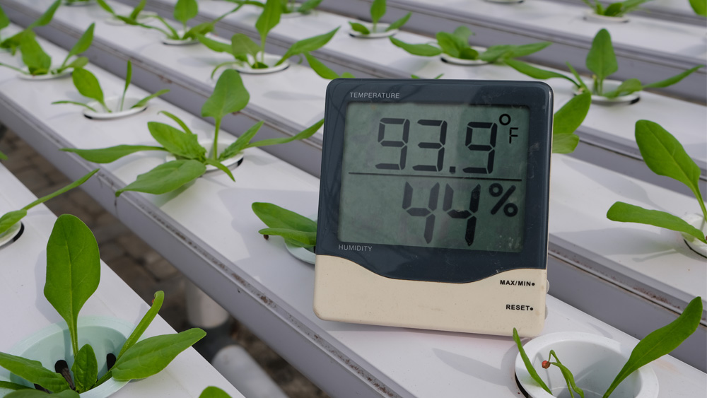 A device showing temperature and humidity levels in a grow room.
Use grow room air conditioner to achieve ideal temperature settings and lower high humidity levels.
