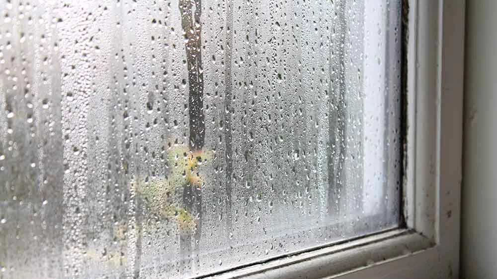condensation on a window