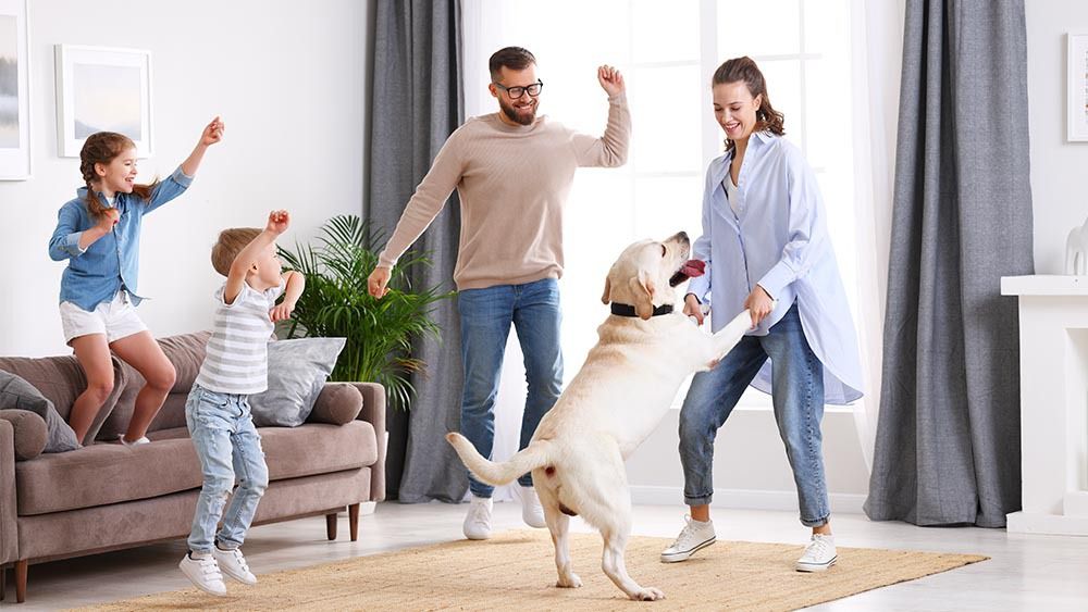 happy family enjoying with the dog
