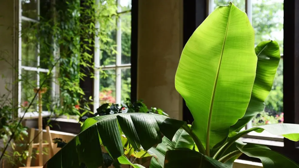 Save energy and maintain the best summer temperature