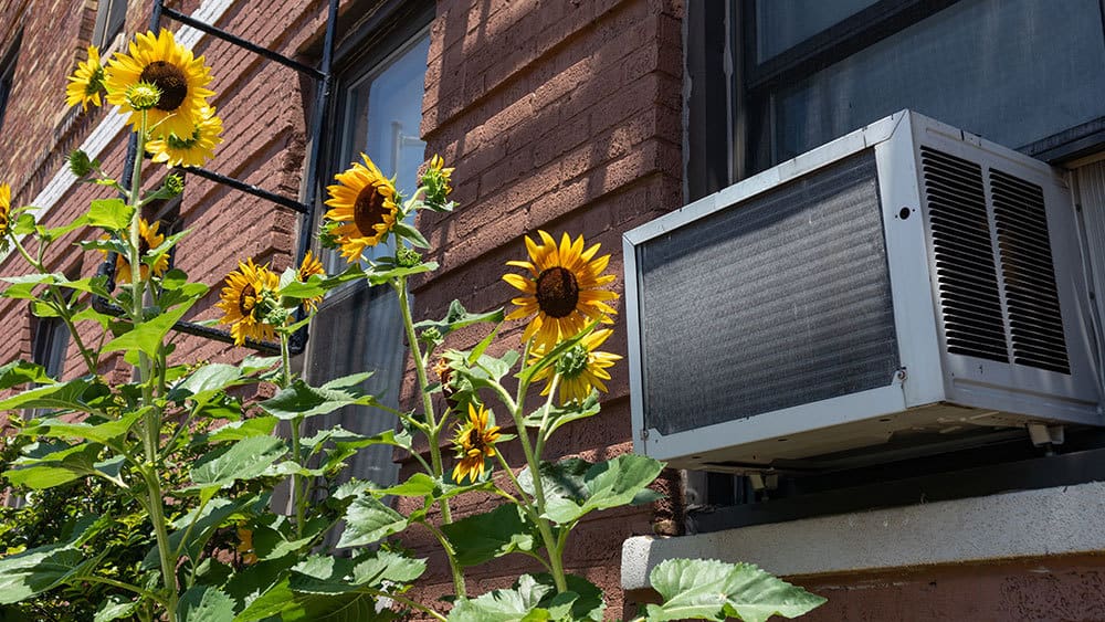 Considerations to look for after removing air conditioner.