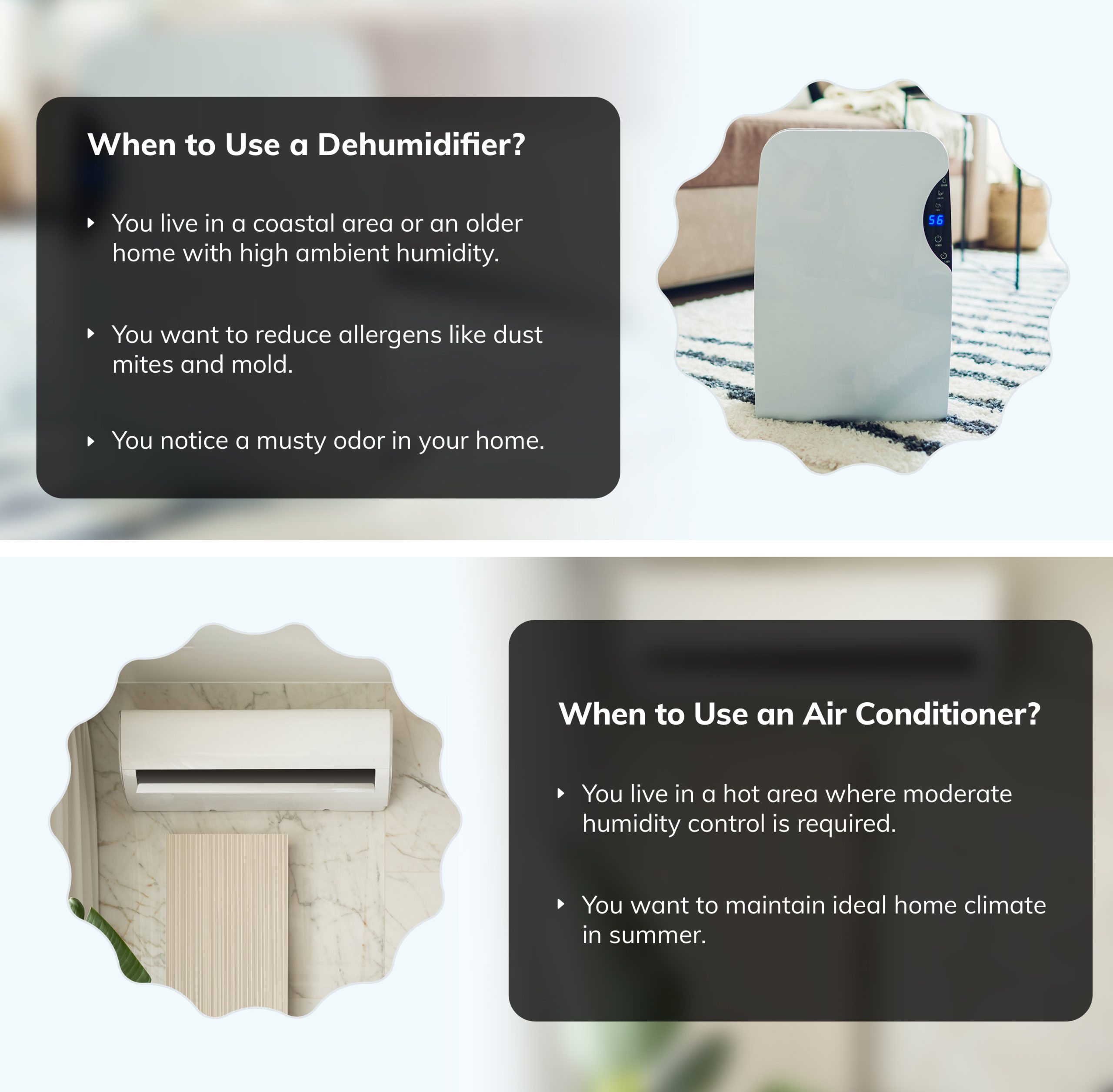 Dehumidifier vs. AC infographic
