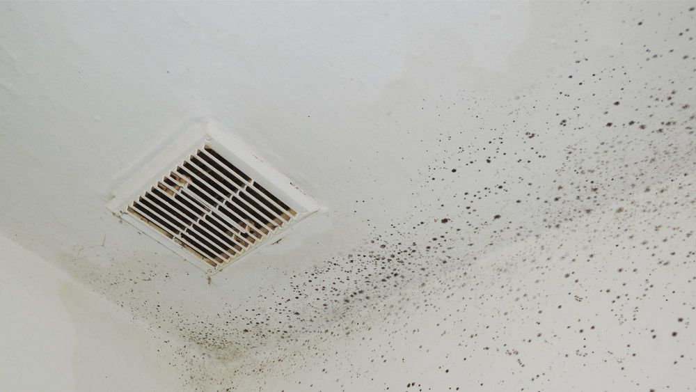 Mold in air ducts